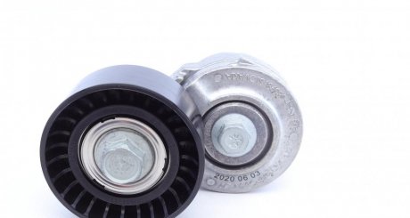 Натяжитель 531 0270 10 ina 534010120