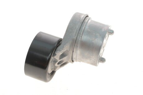 Натяжитель ina 534003110