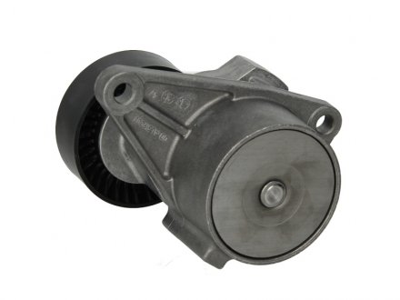 Натяжитель ina 534010310