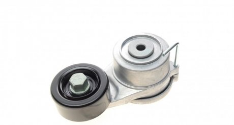 Натяжитель поликлинового ремня ina 534042910