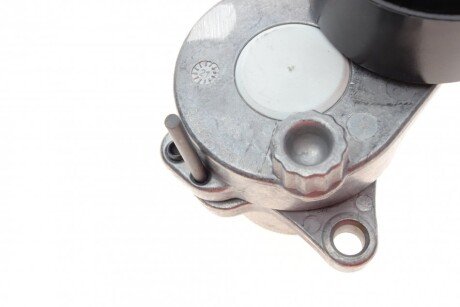 Натяжитель поликлинового ремня ina 534059210