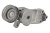 Натяжитель ремня AUDI, SEAT, VW (пр-во) Ina 534014030 (фото 1)