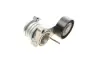 Натяжитель ремня BMW (пр-во) ina 534025210