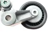 Натяжитель ремня генератора LT 2.5TDI 96-06 (комплект) ina 534 0011 10