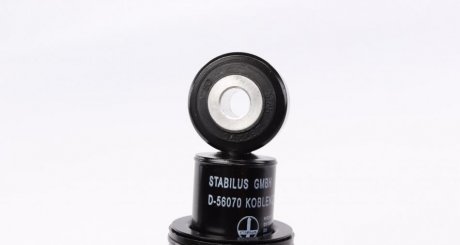 Натяжитель ремня ina 533011810