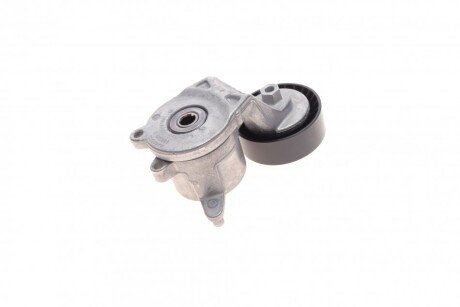 Натяжитель ремня ina 534055310