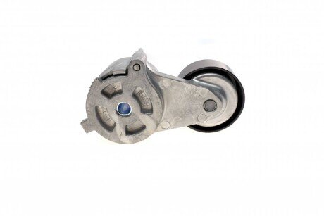 Натяжитель ремня ina 534065010