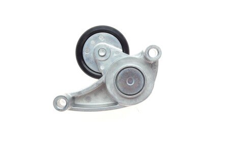 Натяжник ременя генератора ina 534071010