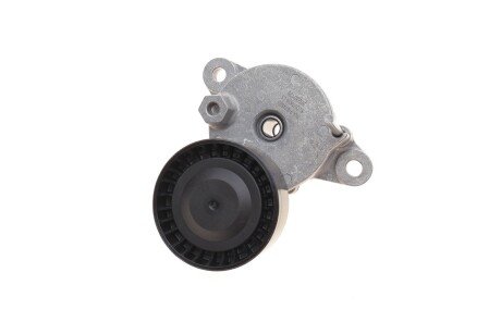 Натяжник ременя генератора ina 534079510