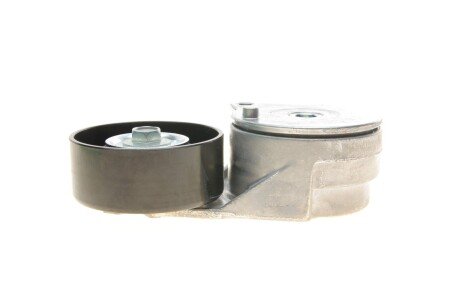 Натяжник ременя генератора ina 534081310