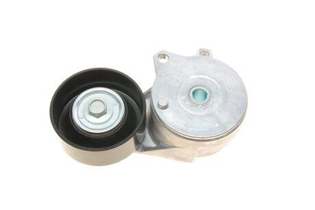 Натяжник ременя генератора ina 534081310