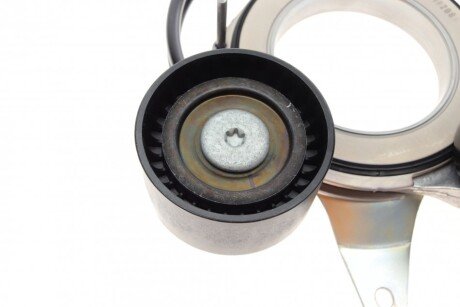 Натяжник ременя генератора ina 534081410