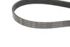 Поликлиновой ремень (Пр-во INA) ina FB 6PK1555
