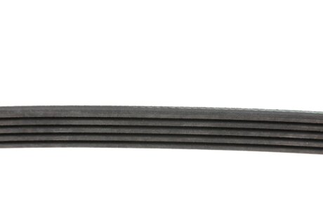 Привідний ремінь генератора ina FB5PK940