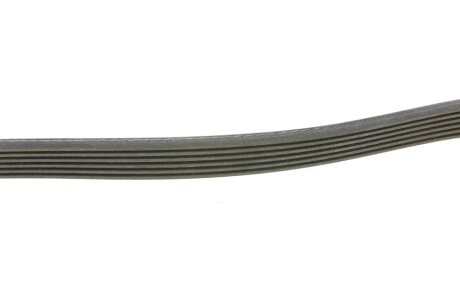 Привідний ремінь генератора ina FB6PK923