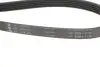 Ремень генератора ina FB 5PK1200
