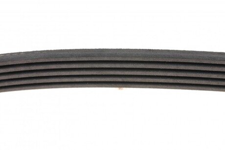 Приводной ремень генератора ina FB5PK736