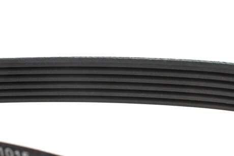 Привідний ремінь генератора ina FB6PK1015