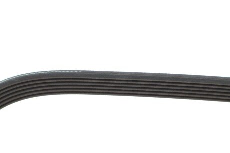 Привідний ремінь генератора ina FB6PK1767