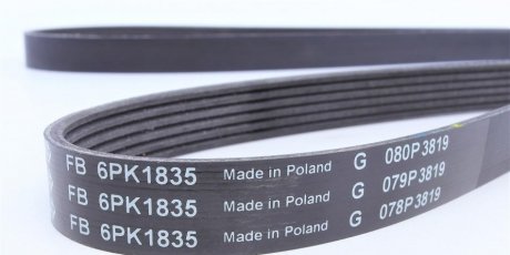 Привідний ремінь генератора ina FB6PK1835