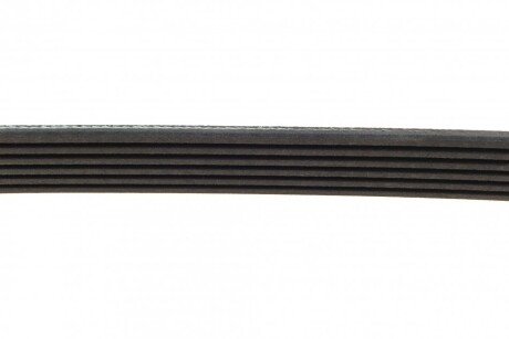 Привідний ремінь генератора ina FB6PK730