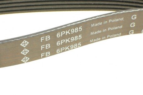 Привідний ремінь генератора ina FB6PK985