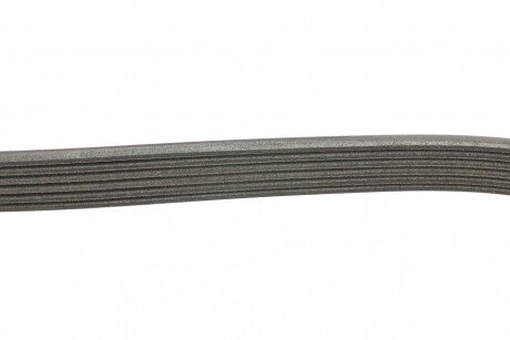 Привідний ремінь генератора ina FB6XPK1893