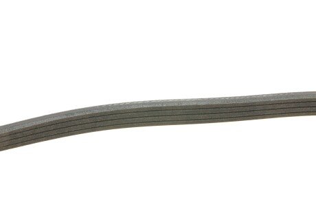 Приводной ремень генератора ina FB4EPK798