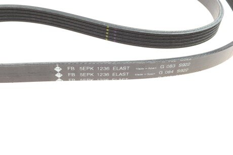 Привідний ремінь генератора ina FB5EPK1236