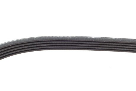 Привідний ремінь генератора ina FB5PK718