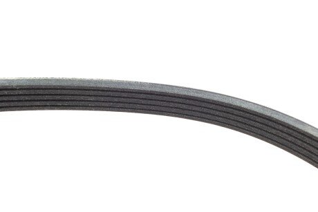 Привідний ремінь генератора ina FB5XPK1123