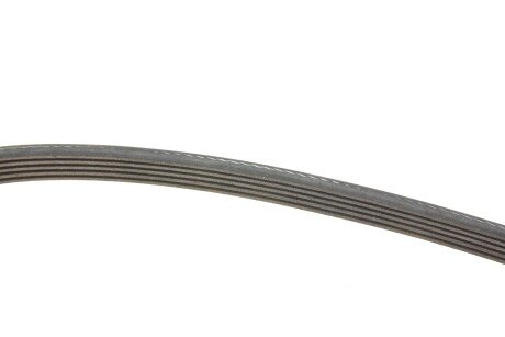 Привідний ремінь генератора ina FB5XPK1665