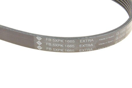Привідний ремінь генератора ina FB5XPK1665