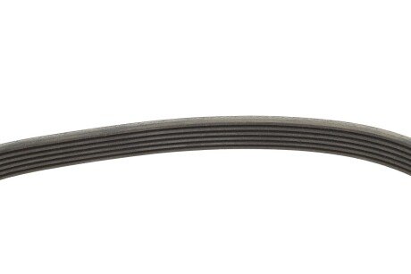 Привідний ремінь генератора ina FB6PK1955