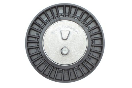 Ролик модуля натягувача ременя ina 531088010