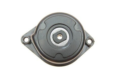 Роликовий модуль натягувача ременя ina 534017110