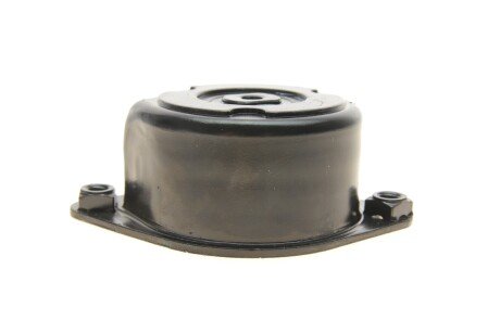 Роликовий модуль натягувача ременя ina 534017110