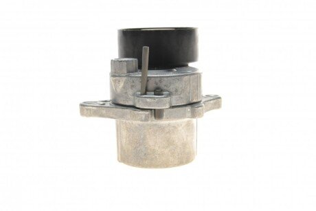 Роликовий модуль натягувача ременя ina 534033710