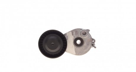 Роликовий модуль натягувача ременя ina 534069310