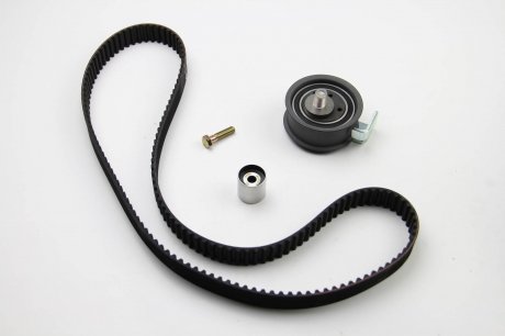 Комплект ремня грм ina 530006910