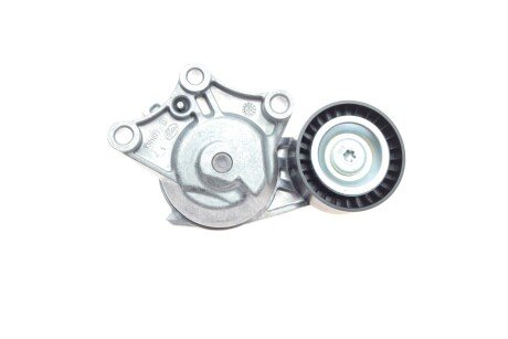 Роликовий модуль натягувача ременя (ролик, ремінь) ina 529032310
