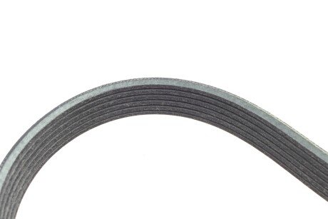 Роликовий модуль натягувача ременя (ролик, ремінь) ina 529032310