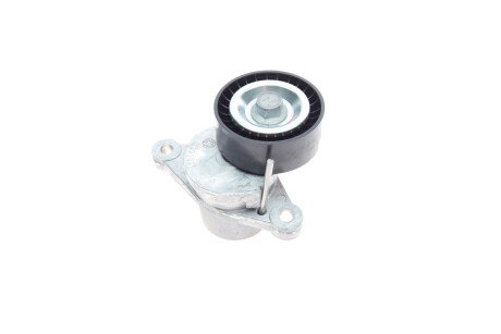 Роликовий модуль натягувача ременя (ролик, ремінь) ina 529032310