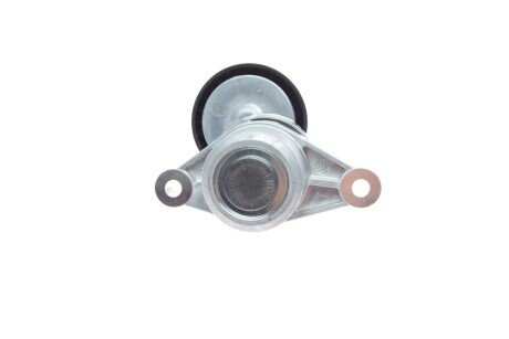 Роликовий модуль натягувача ременя (ролик, ремінь) ina 529032310