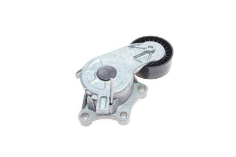 Роликовий модуль натягувача ременя (ролик, ремінь) ina 529032310