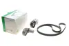 Роликовий модуль натягувача ременя (ролик, ремінь) ina 529042210