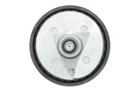 Роликовий модуль натягувача ременя (ролик, ремінь) ina 529057010