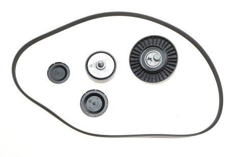 Роликовий модуль натягувача ременя (ролик, ремінь) ina 529057010