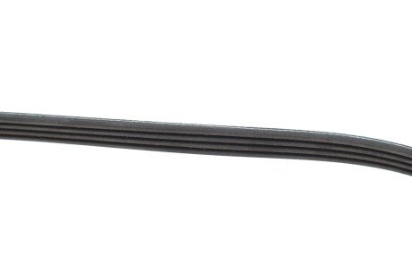 Роликовий модуль натягувача ременя (ролик, ремінь) ina 529057010