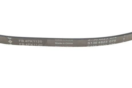 Роликовий модуль натягувача ременя (ролик, ремінь) ina 529057010